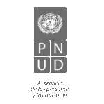 Logo PNUD-02